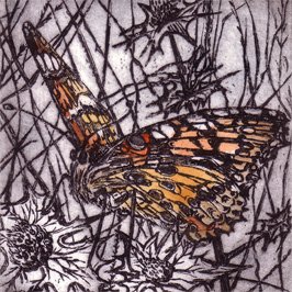 Painted Lady Butterfly - Etchings by Joan Hodgkiss